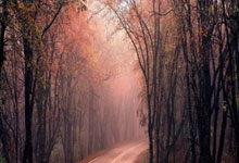 科纳特分,萨利巴分:队报批评法国队中后场表现.