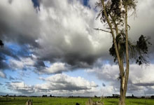 英超:阿申纳爆冷以0比1败给西哈姆.