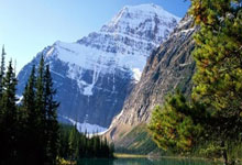 爱游戏:亚冬会门票将于1月11日正式发售 购票认准官方渠道央视新闻客户端.