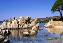 爱游戏:记者:奥斯梅恩今夏想去英超并告知曼联切尔西,.